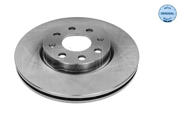 Do koszyka 1686717980 General Motors Tarcza hamulcowa przednia