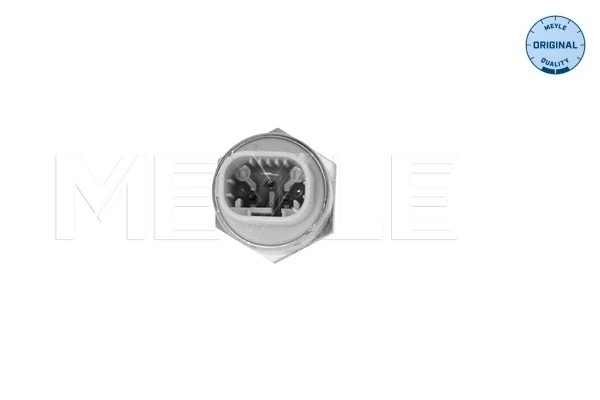 Czujnik temperatury płynu chłodzącego (włączenia wentylatora chłodnicy) do BMW 7  E65, E66, E67