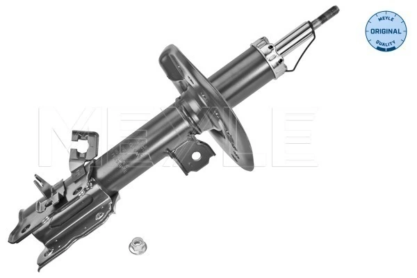 Amortyzator przedni lewy Renault Megane II sedana (LM0, LM1) (2003 - 2012) cena, od 104,04 USD