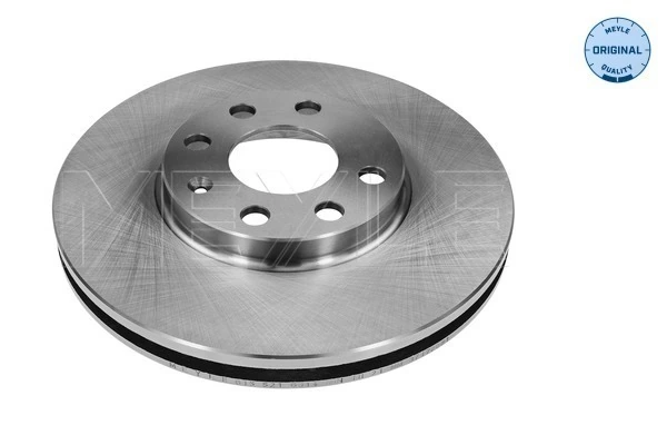 Do koszyka 1618885080 Peugeot/Citroen Tarcza hamulcowa przednia