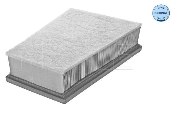 Filtr powietrza do Renault Kangoo II FW0