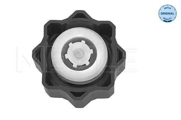 Pokrywa (korek) zbiornika wyrównawczego Citroen Berlingo 