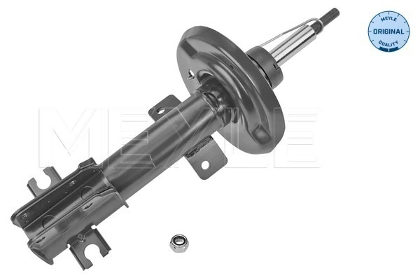 Amortyzator przedni Fiat Bravo II hatchback (198) (2007 - 2014) cena, od 69,30 USD