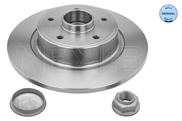 Tarcza hamulcowa tylna Renault Laguna II kombi (KG0, KG1) (2001 - 2007) cena, od 50,13 USD