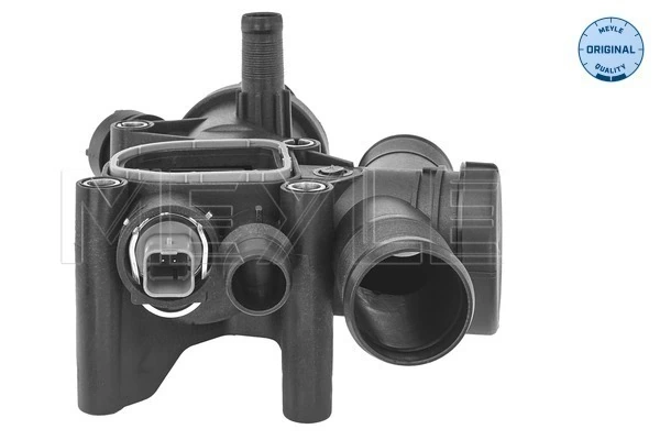  Termostat Peugeot 307 