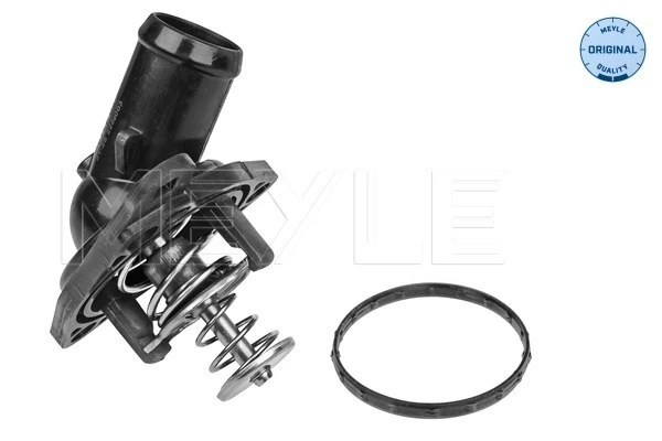 TE0173 Magneti Marelli Termostat