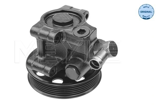Do koszyka Pompa wspomagania hydraulicznego kierownicy Ford Focus I DFW