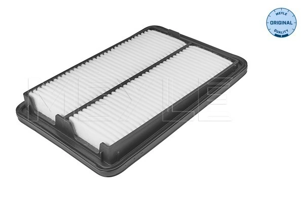 Filtr powietrza do Nissan Qashqai II J11