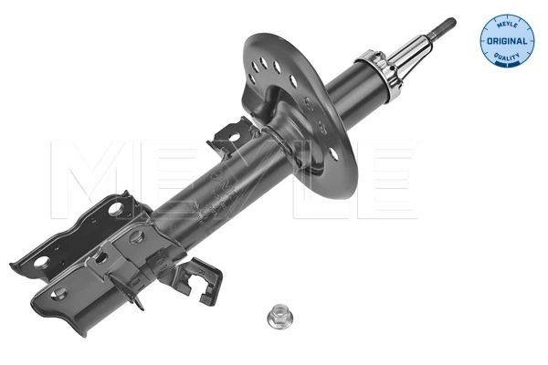 Amortyzator przedni prawy Nissan Qashqai I SUV (J10) (2006 - 2013) cena, od 80,13 USD