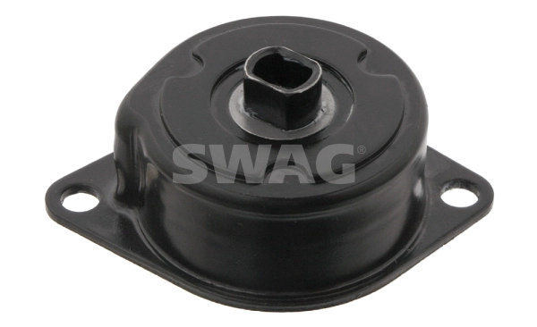 30930989 Swag