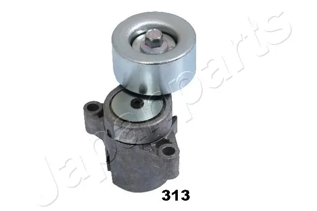 TS313 Japan Parts