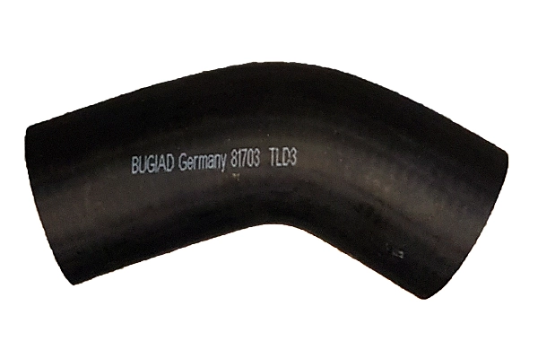 81703 Bugiad
