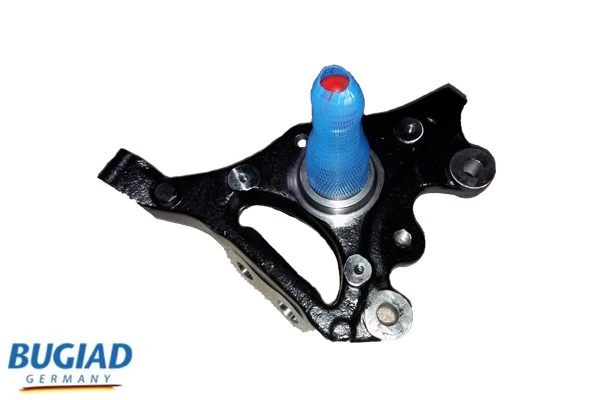 BSP25047 Bugiad