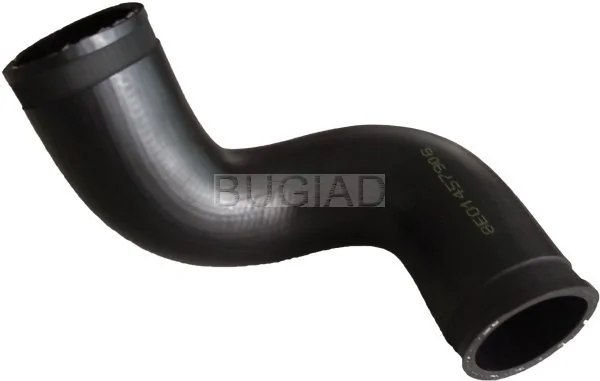 86650 Bugiad