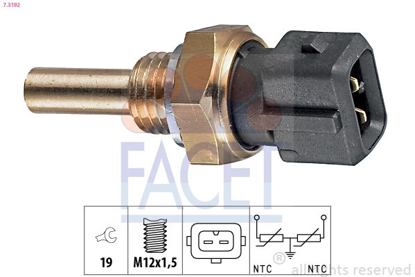 73192 Facet