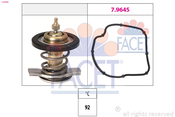 78590 Facet