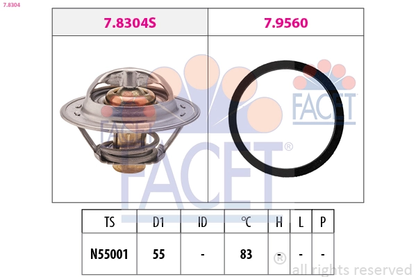 78304 Facet