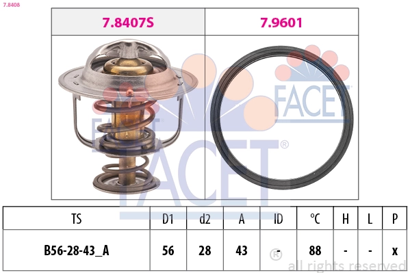 78408 Facet