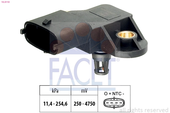 103110 Facet