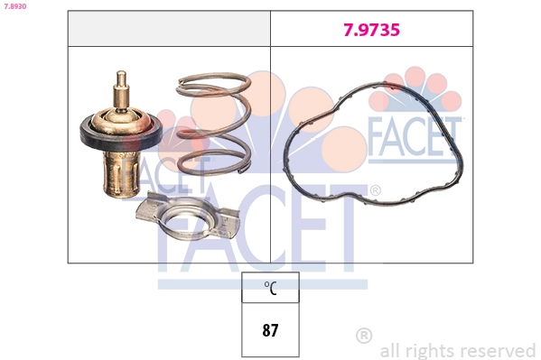 78930 Facet