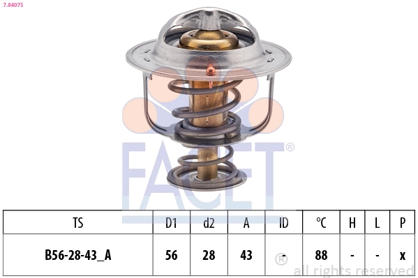 78407S Facet