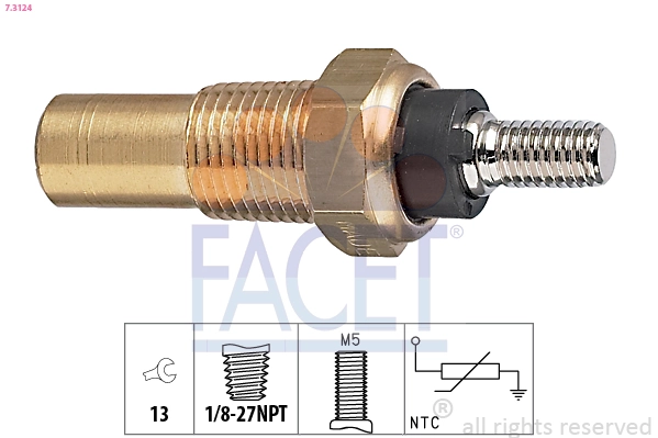 73124 Facet