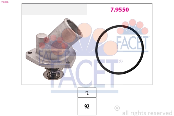 78196 Facet
