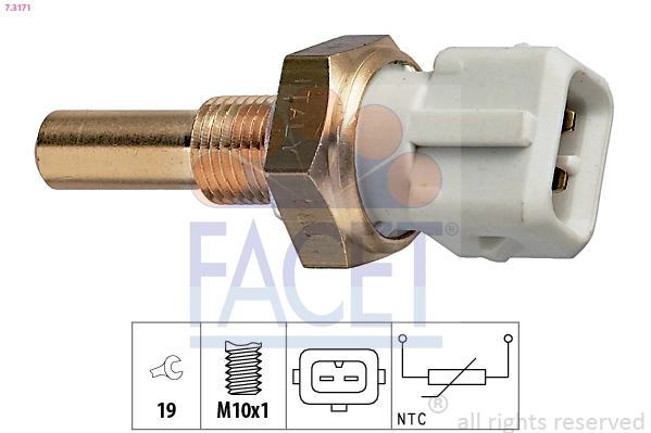 73171 Facet