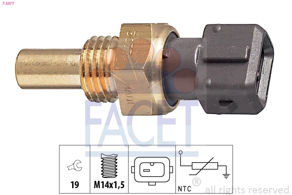 73077 Facet