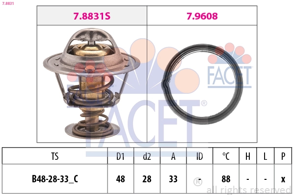 78831 Facet
