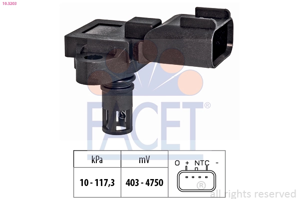 103203 Facet
