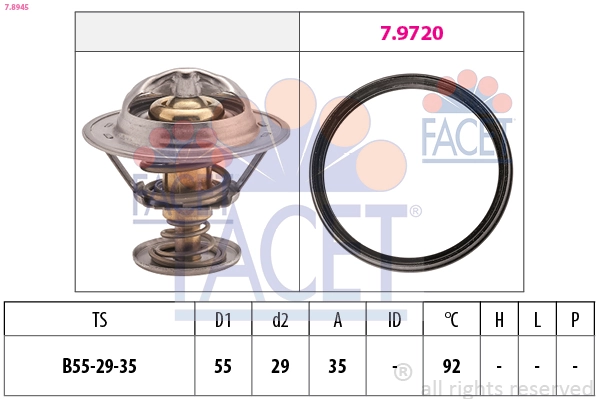 78945 Facet