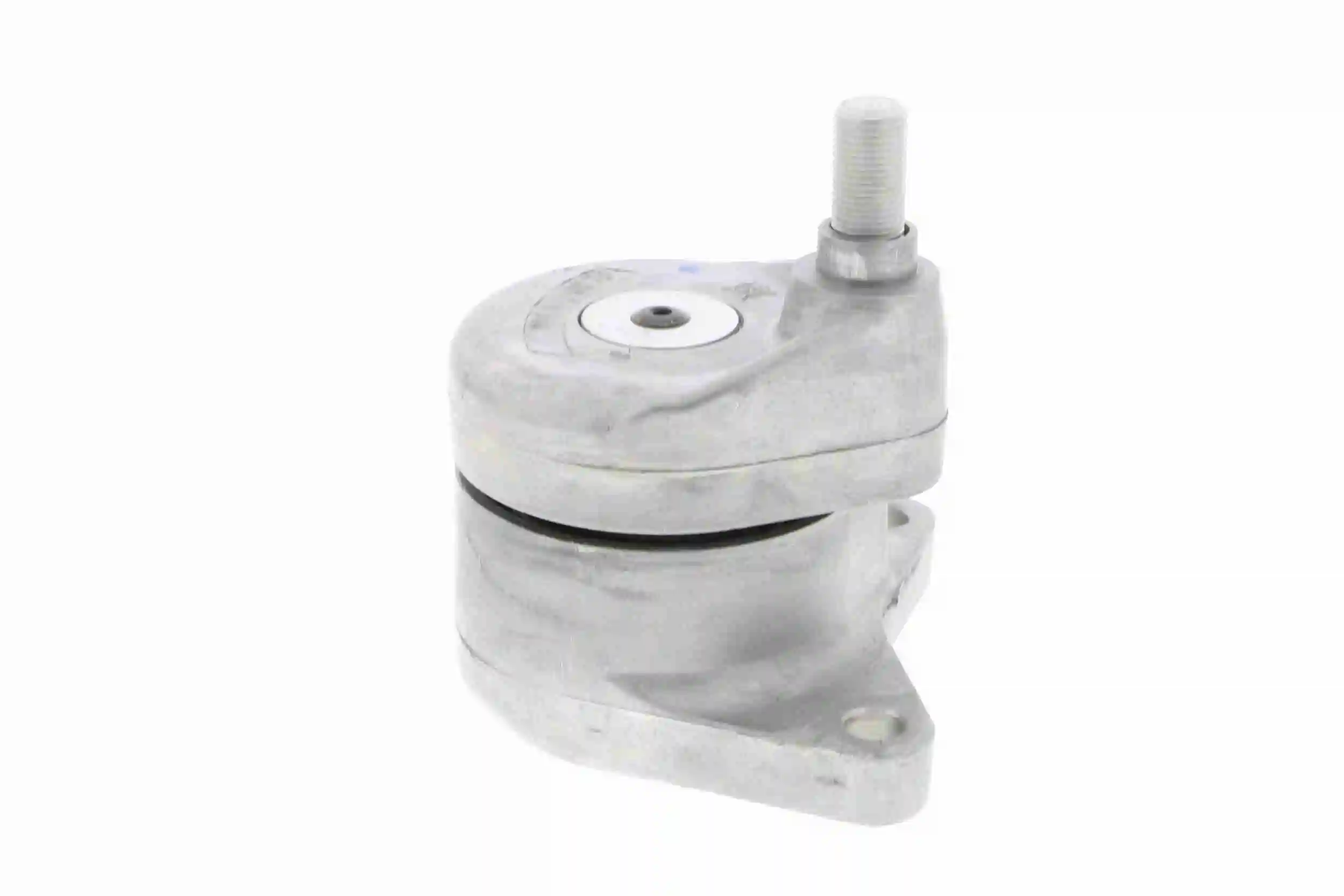 Napinacz paska napędowego SsangYong Musso SUV (FJ) (1995 - 2006) cena, od 45,29 USD
