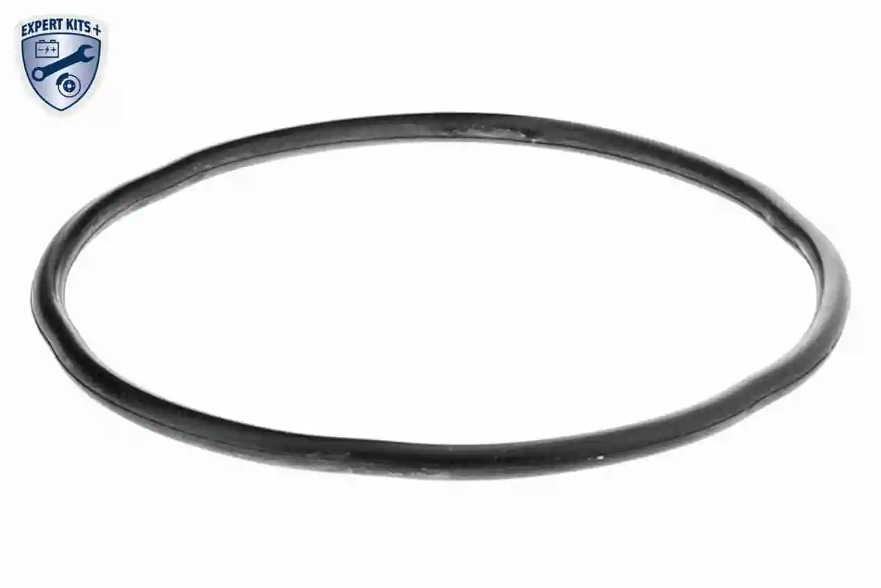  Obudowa filtra paliwa Citroen Jumpy 1