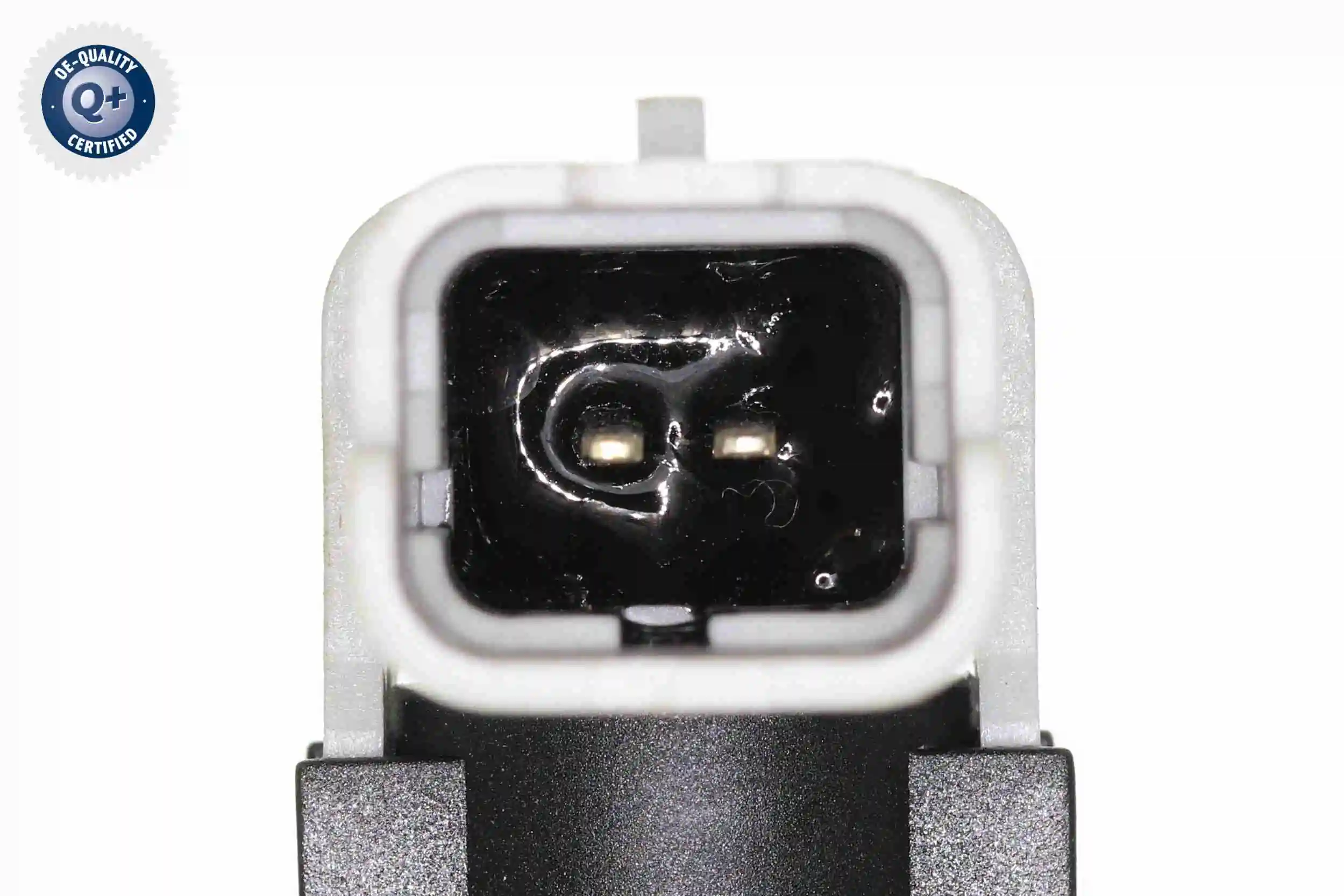 Do koszyka Rurka paliwa, zwrotna od wtryskiwaczy Renault Laguna II BG0, BG1