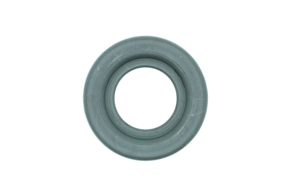 BN006 Aisin
