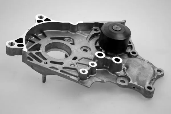 P7769 Hepu