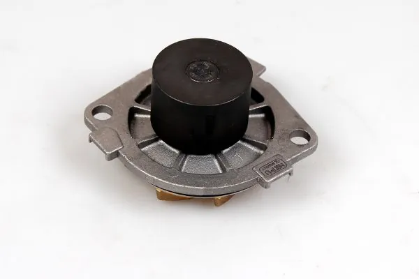 P1053 Hepu