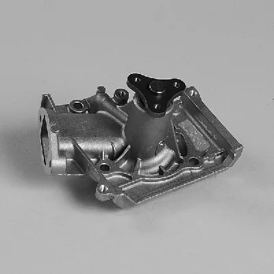 P7983 Hepu