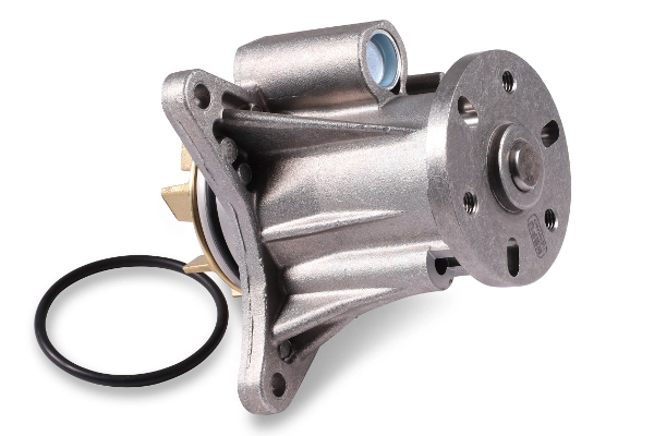 P2623 Hepu