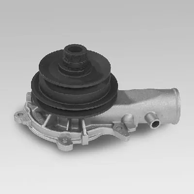 P319 Hepu