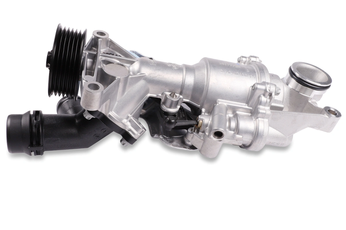 P1575 Hepu