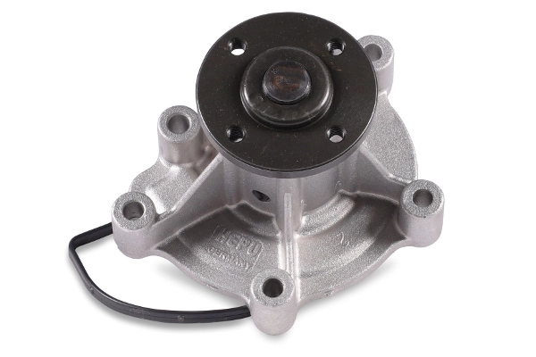 P141 Hepu