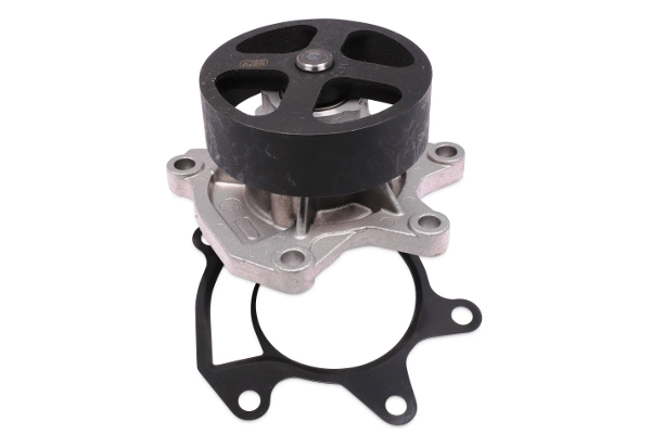 P7398 Hepu