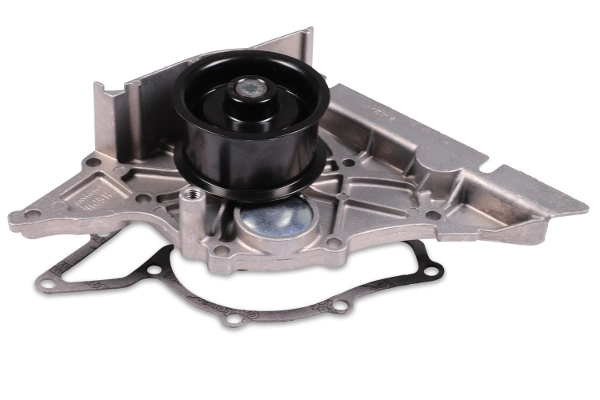 P579 Hepu