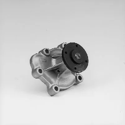 P313 Hepu