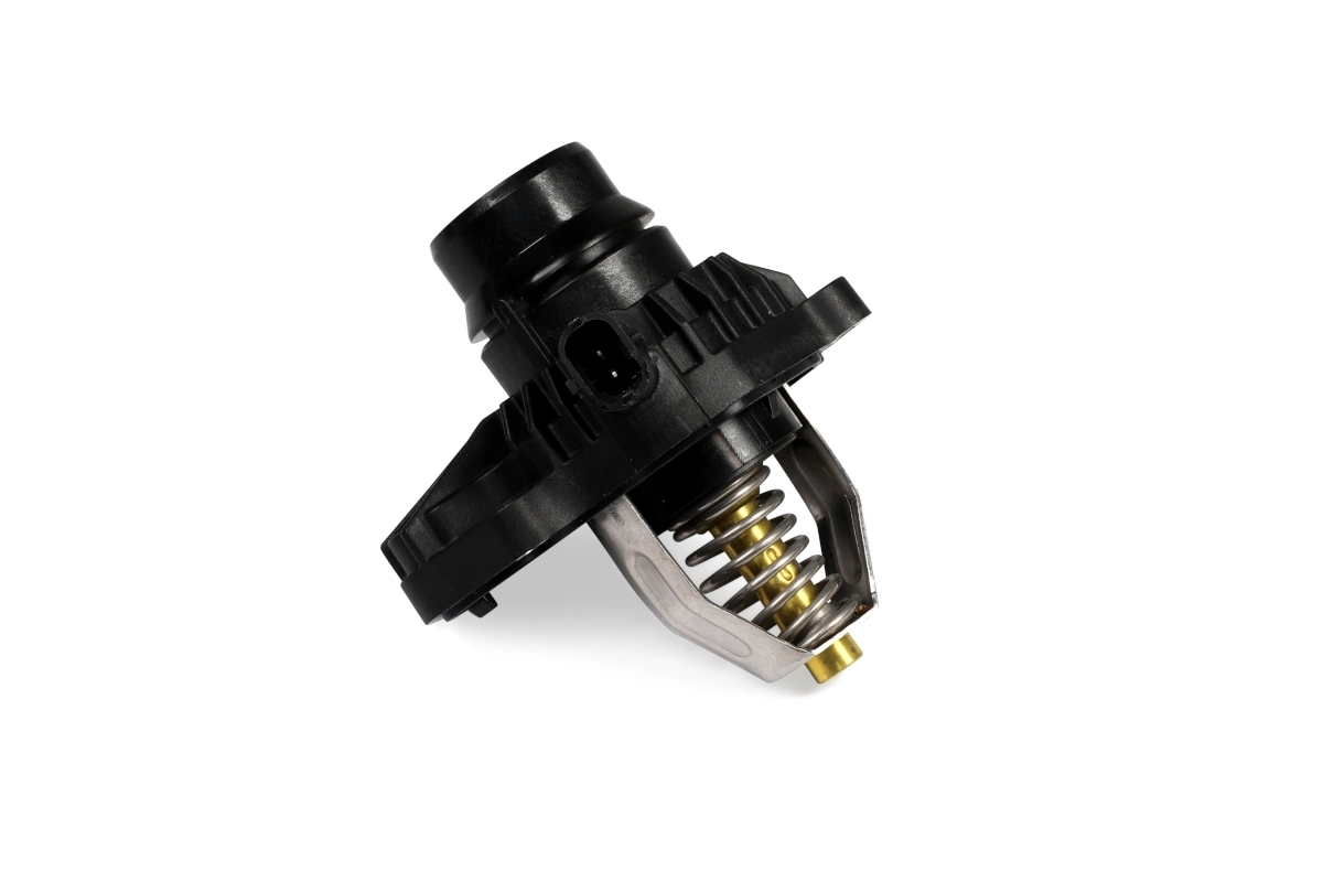 Termostat 55492938 General Motors