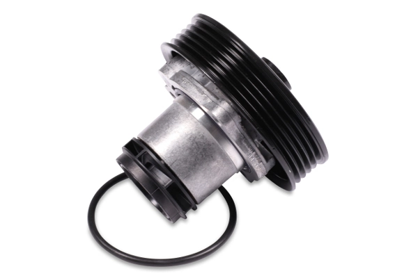 P568 Hepu