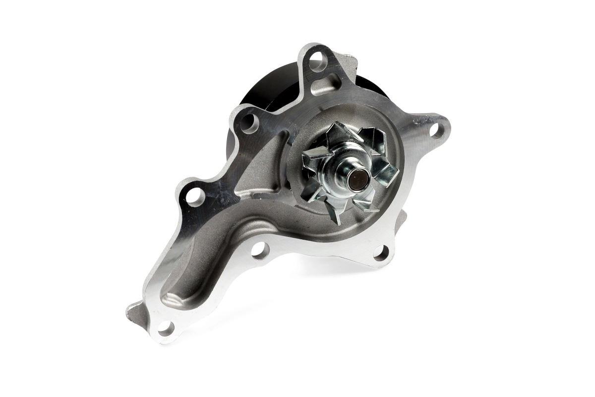 P7866 Hepu