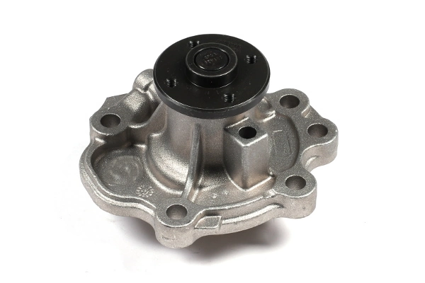 P366 Hepu